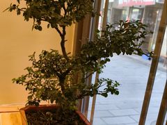 -乡土特色.冷锅鱼.牦牛肉汤锅