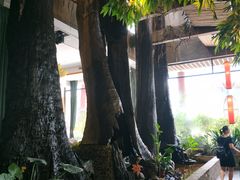 -大树头·花园餐厅(市桥店)