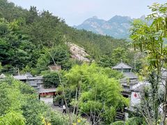 -老张烤羊(王哥庄店)