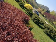 -棒棰岛宾馆景区