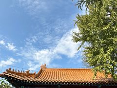 -戏马台景区