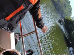 -广东茂名森林公园