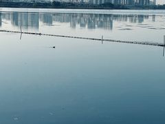 -金银湖国家城市湿地公园