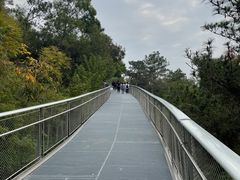-狐尾山公园