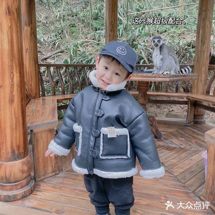 成都周边可投食老虎的超大野生动物世界