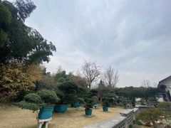 -水绘园