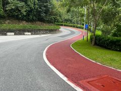 -火炉山森林公园
