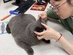 -瑞鹏宠物医院·骨科·猫科·内科(第一中心)
