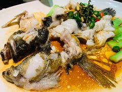 -猪肉婆私房菜(容桂总店)