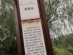 -永定河休闲森林公园