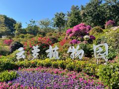 -盆满钵满·国家非遗传承(云台店)