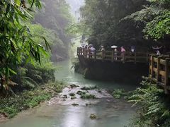 -龙水峡地缝景区