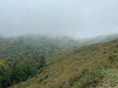 -灵山