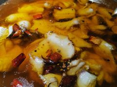 -雲蜀龙阁·金牌水煮鱼(方庄店)