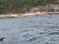 -三亚蜈支洲岛旅游区