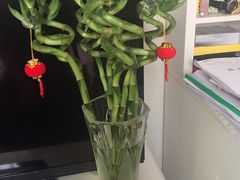 -双季花艺园艺市场(浦东店)