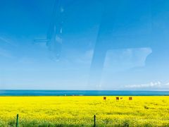 -青海湖国家重点风景名胜区