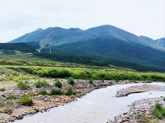 -山丹皇家马场