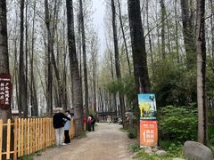 -林间山庄
