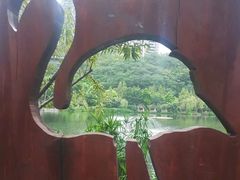 -重庆彩云湖湿地公园