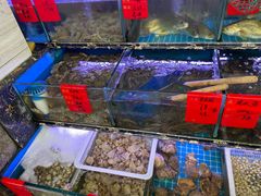 水产区-金海湾海鲜排档(朱家尖店)