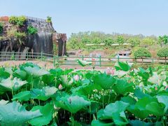 -广州莲花山旅游区
