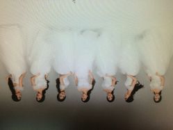 韩国艺匠ARTIZ&nbsp;STUDIO-THE QUEEN(北京店)