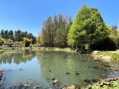 -昆明植物园