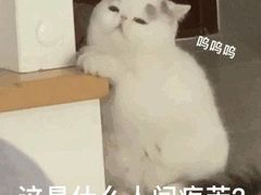 -詹記桃酥(高新鼓楼店)