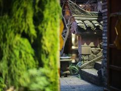 -鱼桥巷·美学川菜