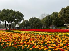 -大宁公园