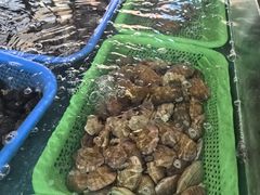 -鸿旺海鲜楼(平潭流水店)