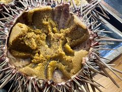 -海胆小馆(东北水饺·春柳店)