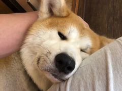 -YCHL Studios健身工作室(市二宫店)