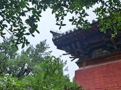 -洛阳白马寺