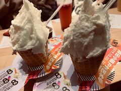 -野人先生现做冰淇淋(北京顺义祥云小镇店)