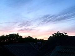 -铃木食堂(帽儿胡同店)