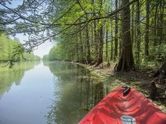 -上海海湾国家森林公园