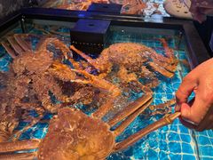 -忆江南·临江鱼馆