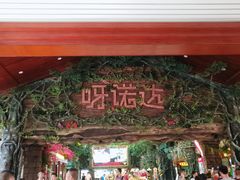 -呀诺达热带雨林