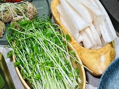 -鲜潭蒸汽石锅鱼(五道口购物中心店)