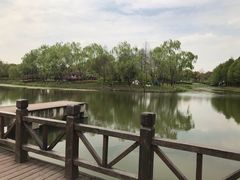 -尚贤河湿地