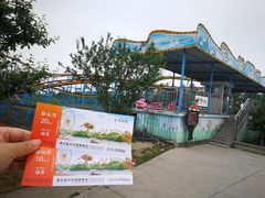 -金卉庄园