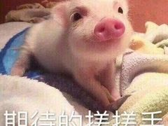 -江湖黑大兔(杨家坪店)