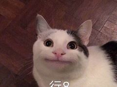 -iFood甜嫩嫩(江东北路店)