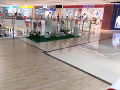 -翠微百货(龙德店)