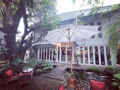 -Fern Forest Cafe