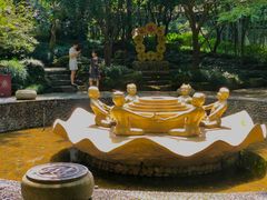-杭州黄龙洞