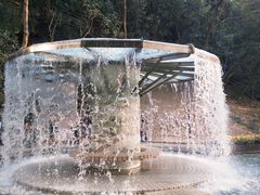 -九龙公园