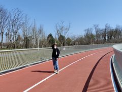 -白鹭湾湿地公园